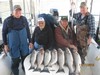 (11/17/2016) - Nice Striped Bass